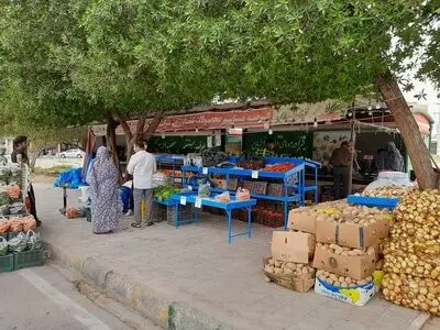 Iran’s Mazandaran exports over 17k tons of kiwi in 8 months: Official
