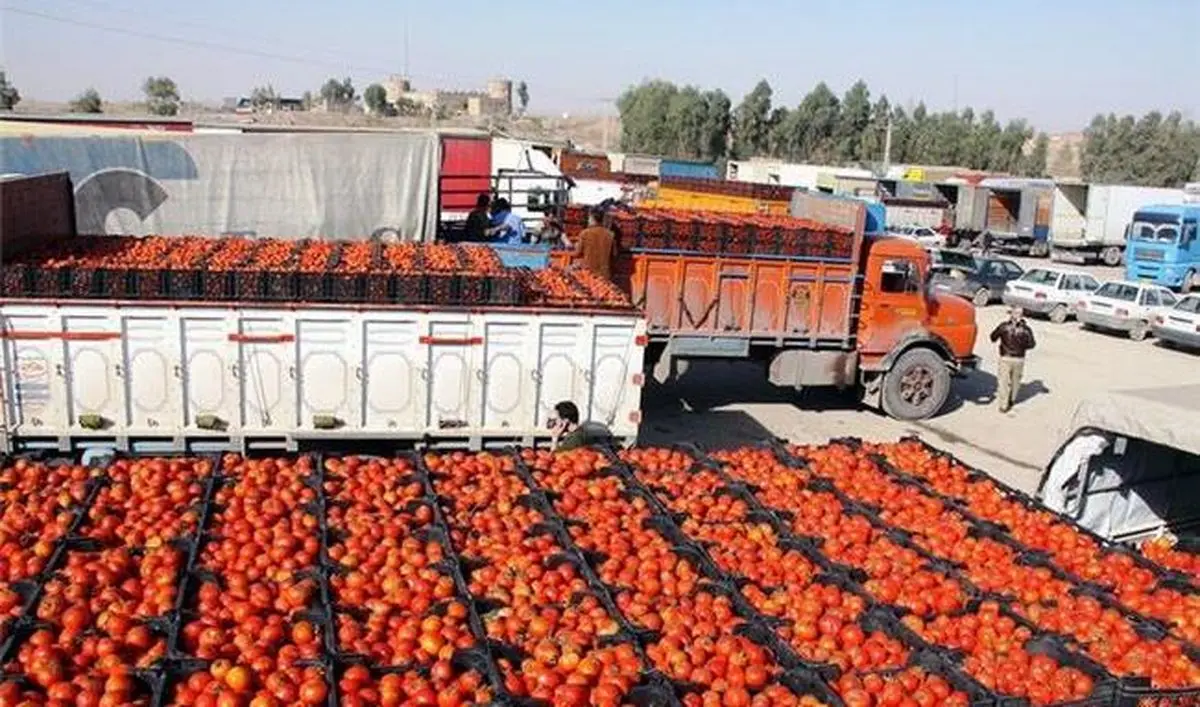 ممنوعیت صادرات گوجه‌فرنگی از مرز پرویزخان به عراق 