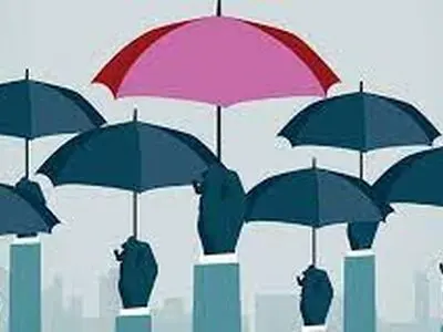 از مزایای بیمه صندوق روستایی تا نحوه عضویت در آن