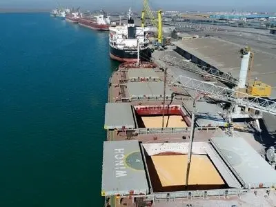 حذف انحصار از واردات نهاده‌های دامی با تهاتر نفت/ وزارت کشاورزی درباره کاهش تهاتر پاسخگو باشد