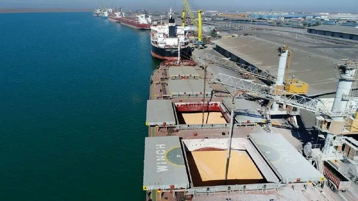 حذف انحصار از واردات نهاده‌های دامی با تهاتر نفت/ وزارت کشاورزی درباره کاهش تهاتر پاسخگو باشد