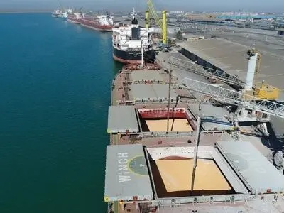حذف انحصار از واردات نهاده‌های دامی با تهاتر نفت/ وزارت کشاورزی درباره کاهش تهاتر پاسخگو باشد