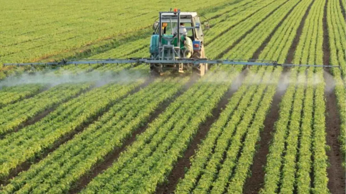 طرح‌های تشویقی مناسب برای حمایت متقاضیان کشت فراسرزمینی