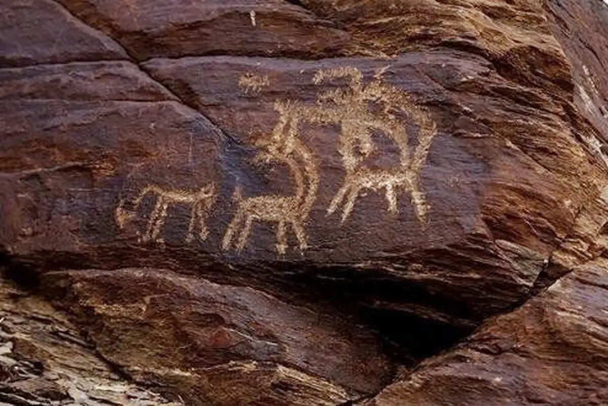 کشف یک مجموعه سنگ‌ نگاره تاریخی در شهرستان محلات 