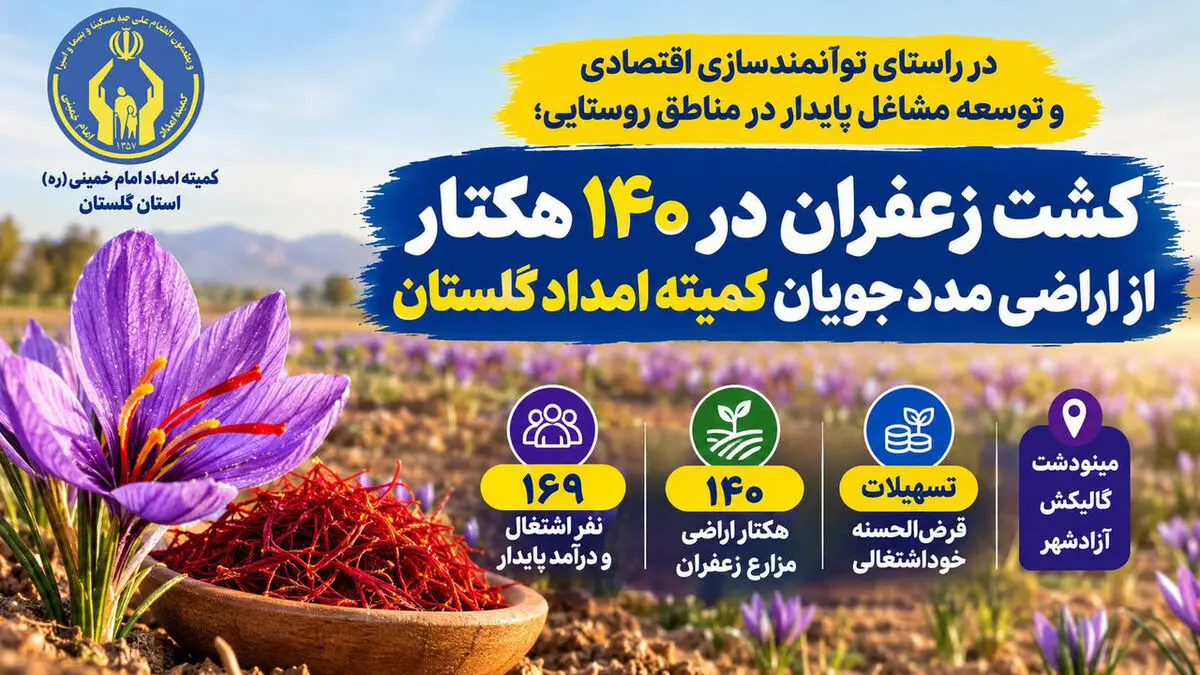 کشت زعفران در ۱۴۰ هکتار از اراضی مددجویان کمیته امداد گلستان