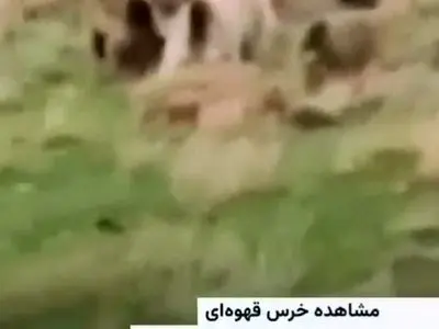 asdasd