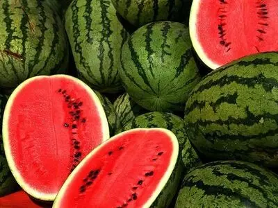 تشخیص شیرین بودن هندوانه + فیلم