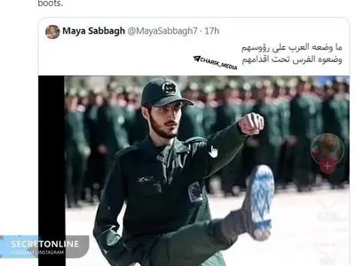 طعنه تند و تیز بلاگر لبنانی به سران عرب 