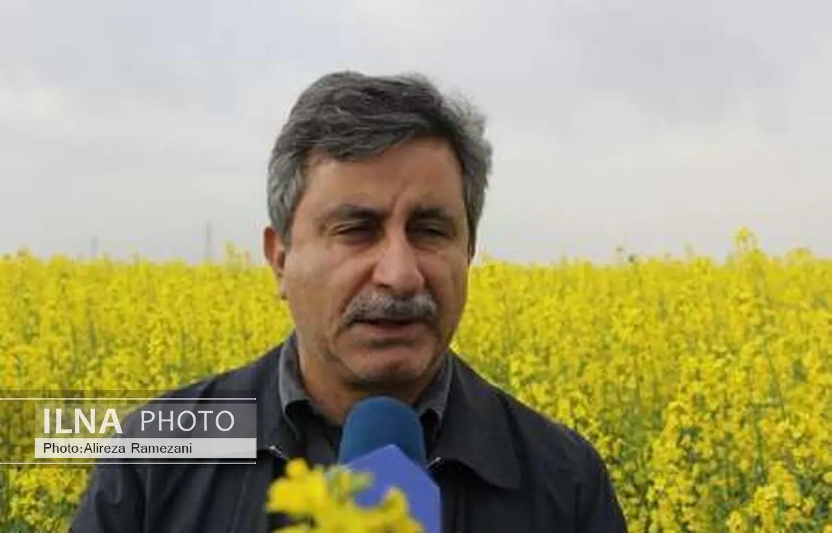 70 درصد نیاز کشور به روغن خام طی برنامه ای 10ساله در داخل تامین می شود