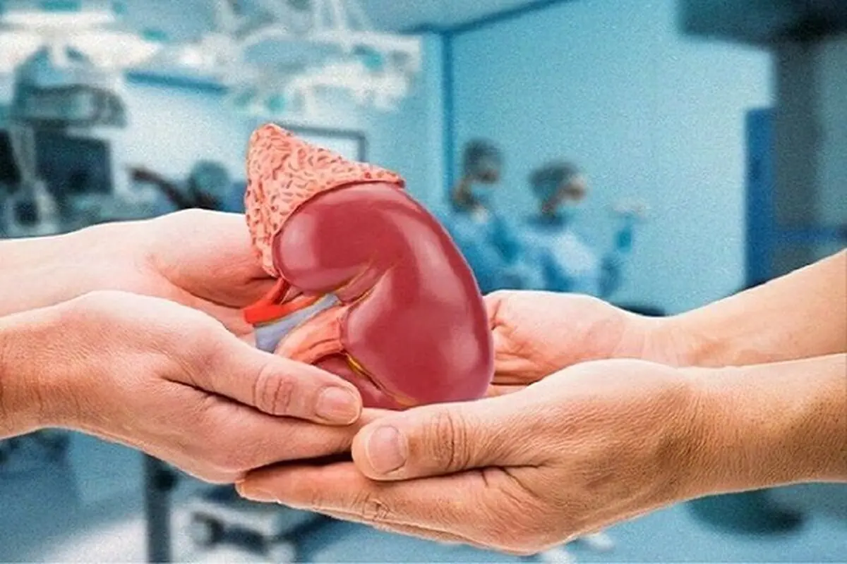 اعضای کودک سه‌ساله نیشابوری نجات‌بخش جان پنج بیمار شد