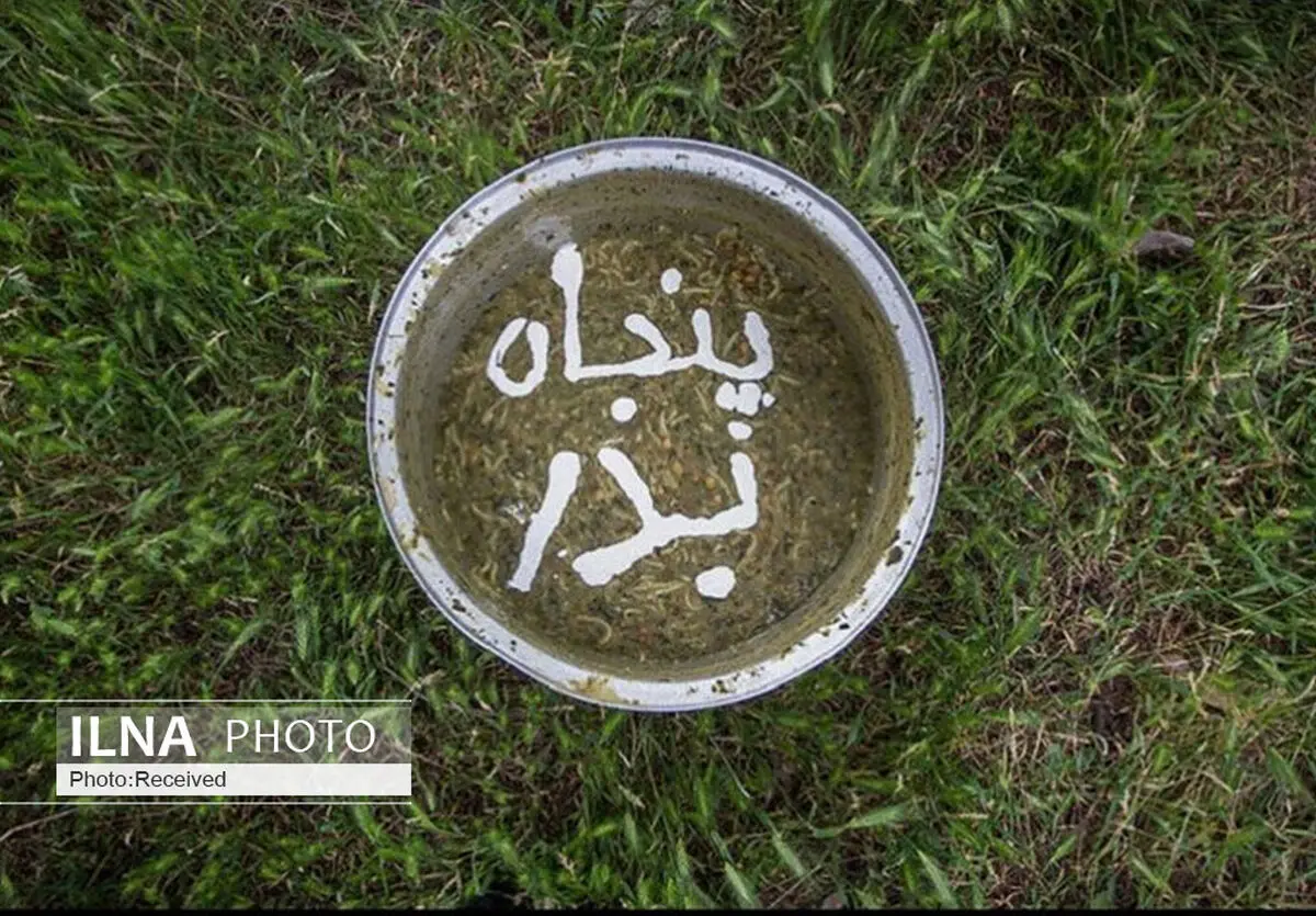 ستاد دائمی پنجاه‌بدر در قزوین تشکیل شود