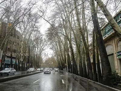 ۳۰۰ درخت با بن بالا جایگزین درختان فرسوده خیابان ولیعصر (عج) می‌شود