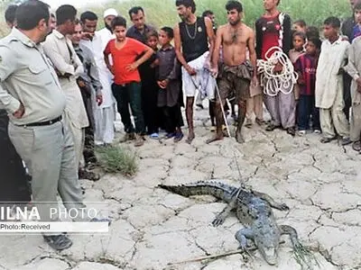 مشکل بی‌آبی عامل بروز حادثه برای دختر 10 ساله سیستانی/ "حوا" اولین قربانی نبود/ محافظی برای گاندوها وجود ندارد
