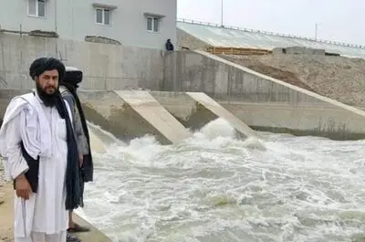 ابزار اقتصادی؛ کلید طلایی حل مناقشه حقابه هیرمند/پیشنهاد ایجاد کشت‌وصنعت مشترک مرزی با افغانستان