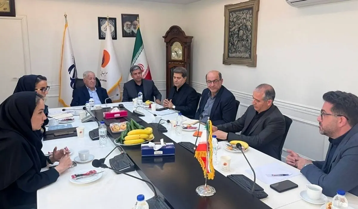 رایزنی استاندار اردبیل و مدیرعامل هواپیمایی تابان درباره توسعه پروازها و رونق گردشگری استان