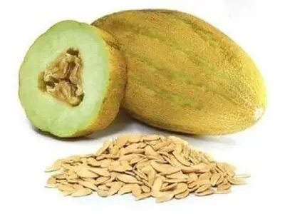 نحوه خشک کردن تخمه خربزه