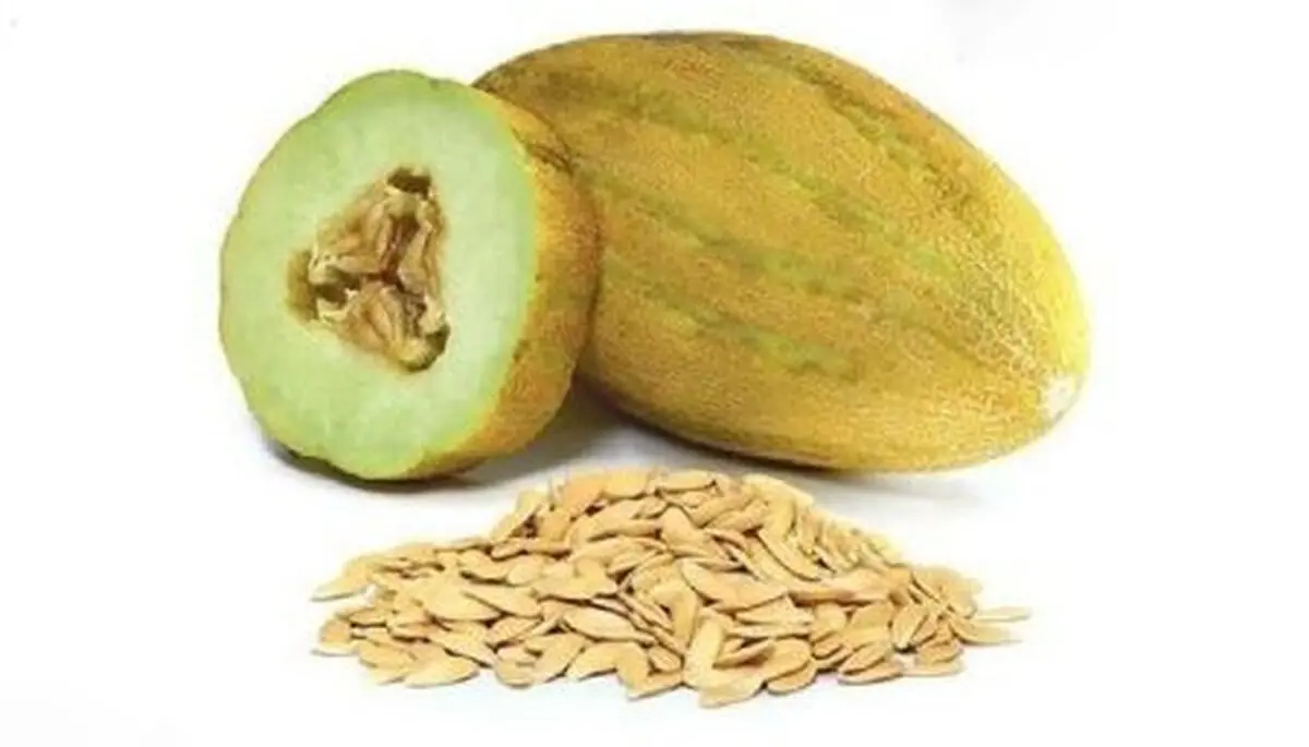 نحوه خشک کردن تخمه خربزه