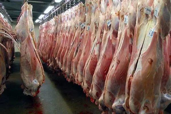 آخرین وضعیت تقاضا و قیمت گوشت/ از کشورهای آسیای میانه واردات داریم