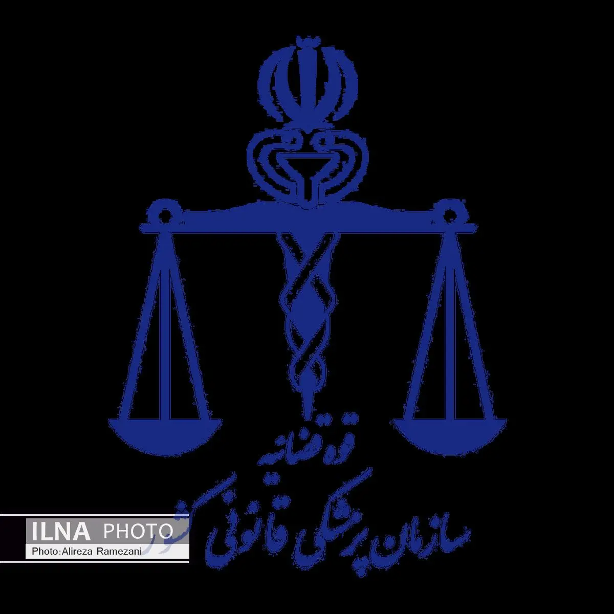 366 جواز دفن برای اجساد حادثه منا صادر شد