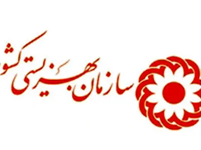 توضیح درباره زمان و مبلغ پرداخت مستمری مددجویان بهزیستی توسط سازمان هدفمندی یارانه‌ها 