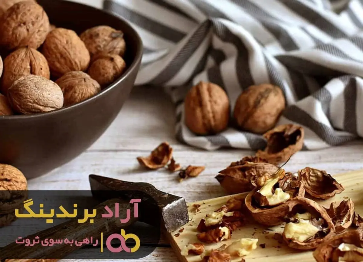 ایده ثروتمند شدنم را از یک گردو گرفتم