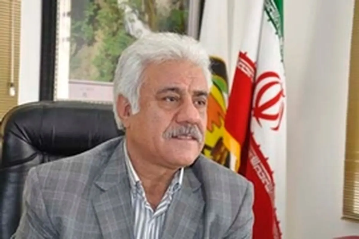 ۳۹۴ دستگاه ترانسفورماتور برق در لرستان نصب شد