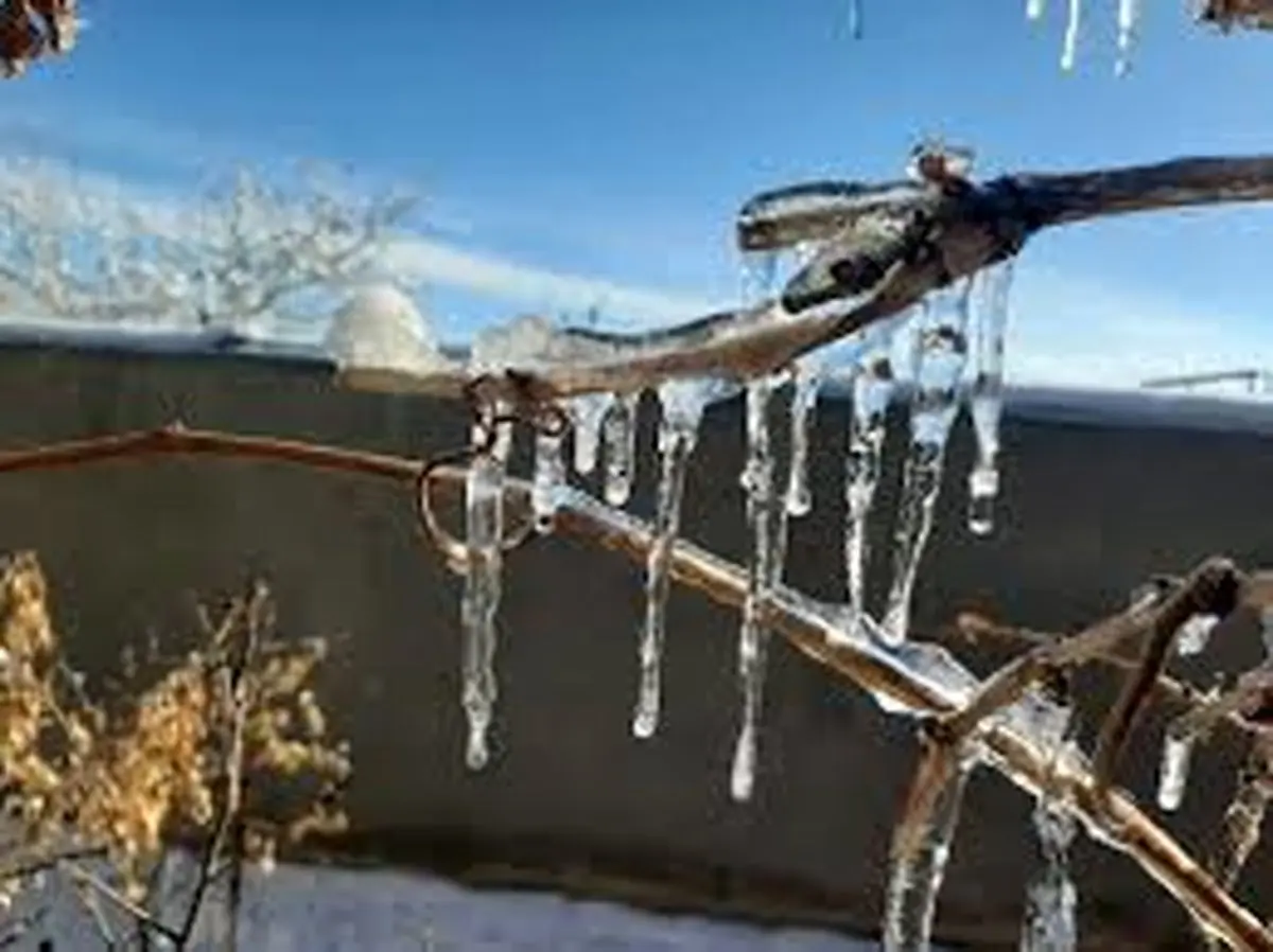 تشدید سرما و یخبندان در خراسان جنوبی/ دمای  ۱۴ درجه زیر صفر در سربیشه