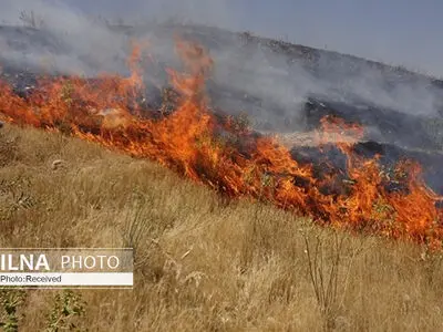 آتش‌سوزی در منطقه صعب‌العبور هفت‌تنان دزفول مهار شد