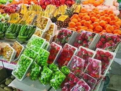 انحصاری در واردات میوه وجود ندارد