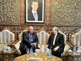 وزیر خارجه مصر وارد دمشق شد.