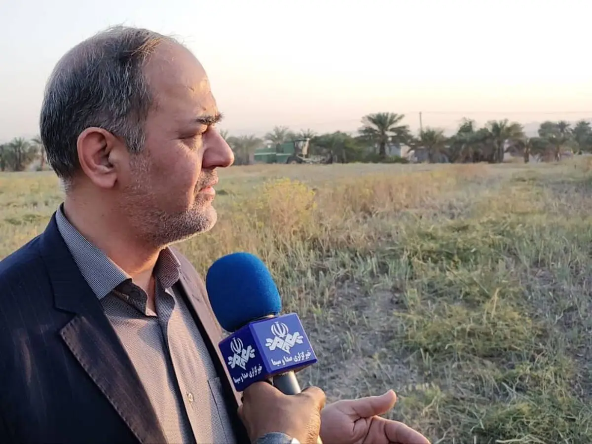 ۷۳ درصد مطالبات کشاورزان پیازکار پرداخت شد