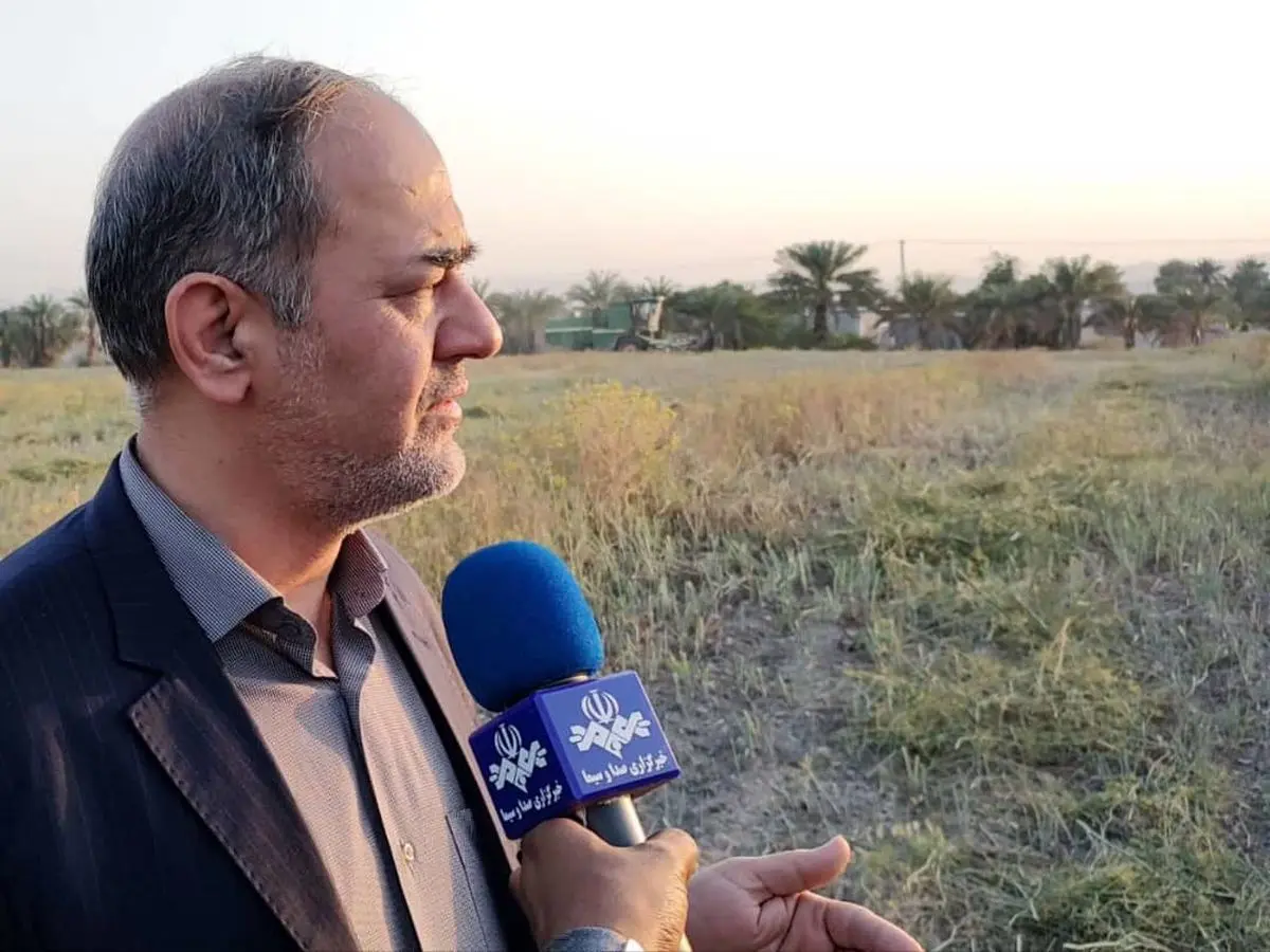 ۷۳ درصد مطالبات کشاورزان پیازکار پرداخت شد