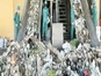 اختصاص ۳۰ میلیارد تومان بودجه برای راه‌اندازی کارخانه زباله سوز
