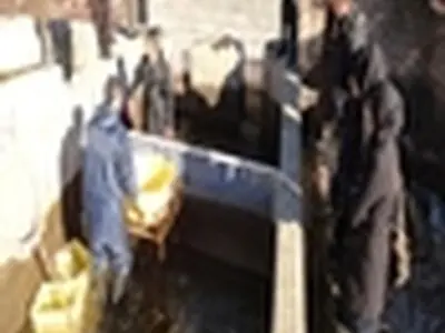 بازدید کارگروه علمی تخصصی و مستندسازی شیلات گلستان از مزارع سردآبی قزل‌آلای علی‌آباد کتول