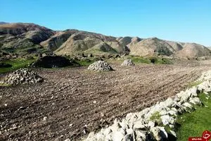 کشاوزی به شیوه سنتی در سیمره و هیچ عرصه‌ای از محوطه‌های باستانی ممنوع نیست