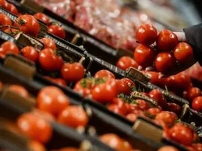 چرا باید از خوردن گوجه فرنگی صرف نظر نکنیم؟