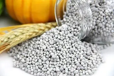 واریز مرحله اول یارانه کودهای فسفاته و پتاسه به حساب کشاورزان چهارمحال و بختیاری آغاز شد