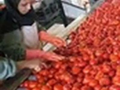 حضور مسئول فنی در واحد های تولیدی فراورده‌های غذایی الزامی است