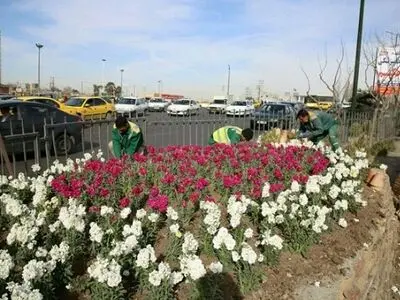 عملیات کاشت گل‌های تابستانی در کرج انجام شد
