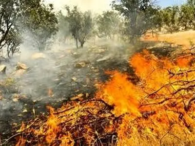 دفن غیراصولی زباله، آتش‌سوزی ۱۰ ساعته در دل جنگل‌های ارمند چهارمحال و بختیاری را رقم زد