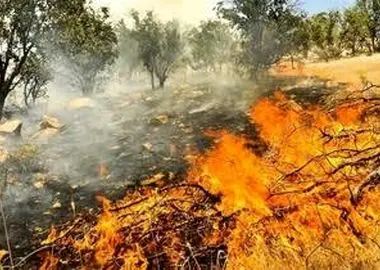 دفن غیراصولی زباله، آتش‌سوزی ۱۰ ساعته در دل جنگل‌های ارمند چهارمحال و بختیاری را رقم زد