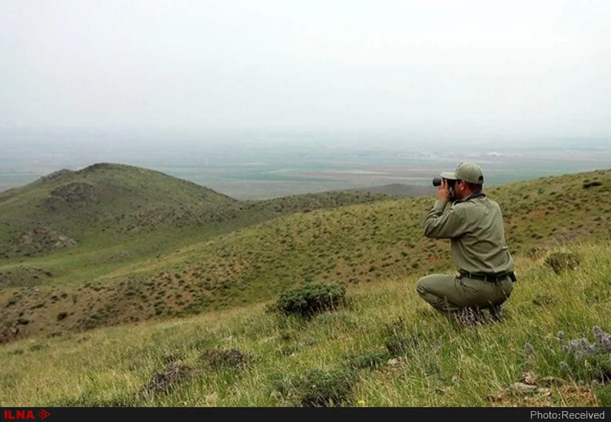 شناسایی بیش از ۸۲۰۰ گونه گیاهی و ۱۳۰۰ گونه جانوری در کشور