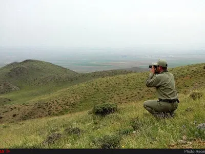 شناسایی بیش از ۸۲۰۰ گونه گیاهی و ۱۳۰۰ گونه جانوری در کشور