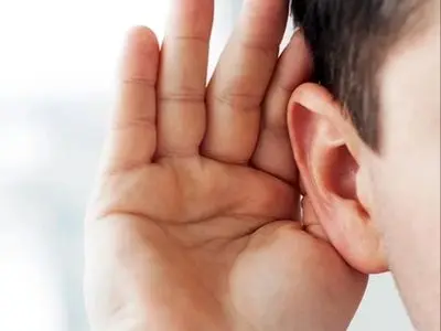 فراتر از سکوت؛وقتی زبان اشاره، دریچهای به جهان میشود