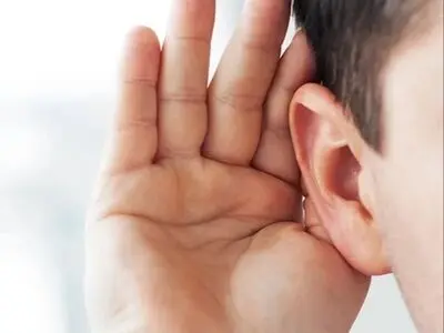 فراتر از سکوت؛وقتی زبان اشاره، دریچه‌ای به جهان می‌شود