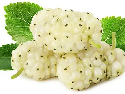 کاهش کلسترول خون با این میوه تابستانی
