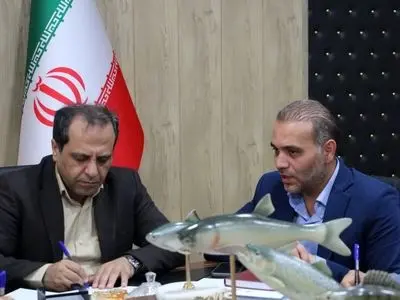 تحقق تولید بیش از ۱۶ هزار تن محصولات شیلاتی در استان اردبیل