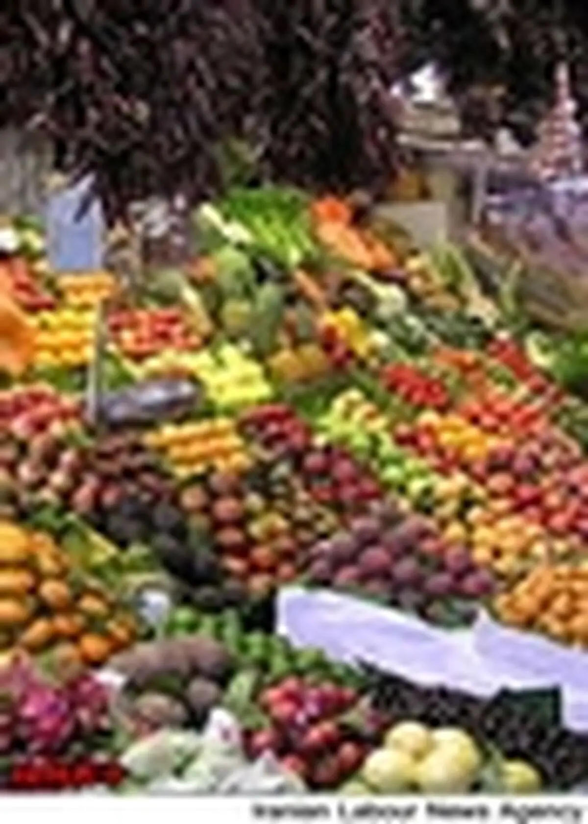نخستین کارگروه علمی در زمینه پایش سموم در مواد غذایی تشکیل شد