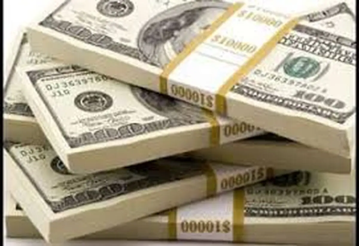 افزایش‌نرخ ارز قابل پیش‌بینی بود/ نمی‌توان به مردم گفت دارایی خود را به دلار تبدیل نکنید