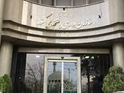 پاسخ سازمان اداری استخدامی به خبر تجمع کارکنان بهداشت و درمان تهران
